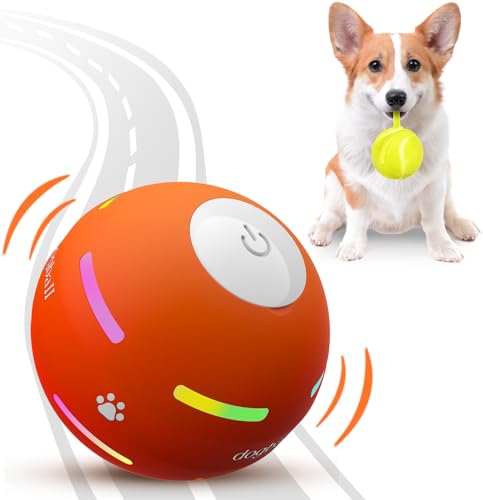Best Interactive Dog Toy